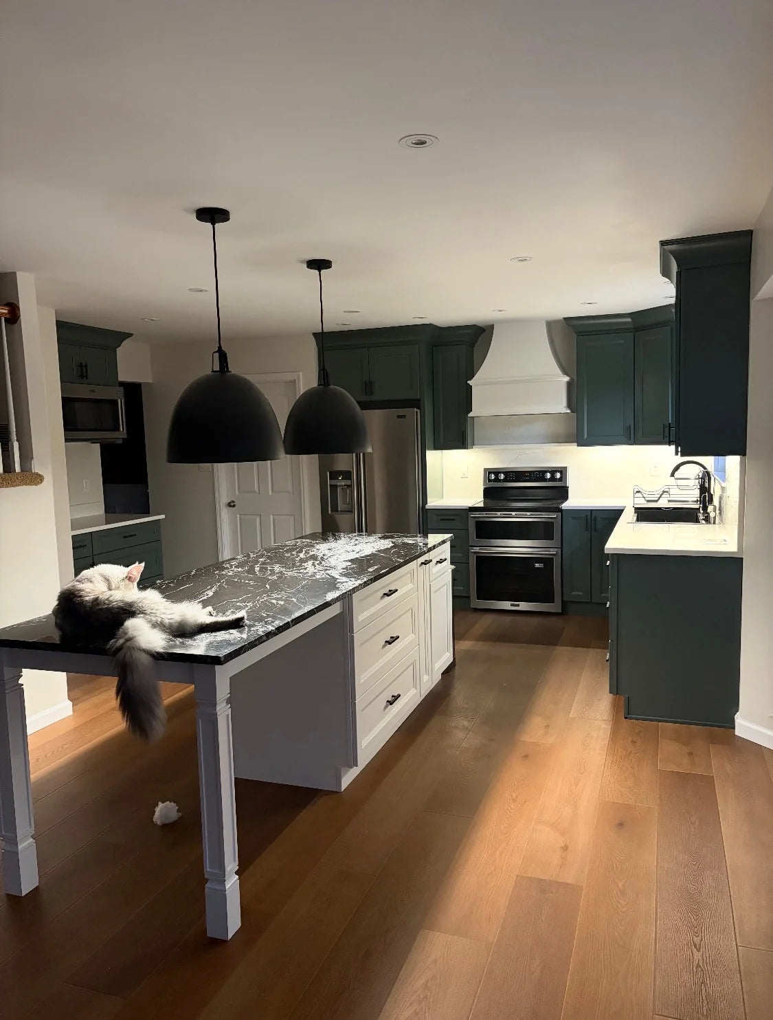 Adrian's kitchen by STL Cabinetry